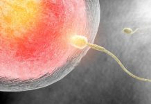 Former Abortionist: Life Begins at Conception, Preborn Feel Pain