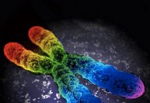 Misleading Headlines Claim To Have Found The ‘Gay Gene’