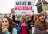 The Cult of Violent Vegan Vigilantism